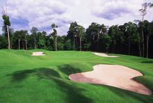 Tee-off at Ian Baker-Finch Woodlands Course