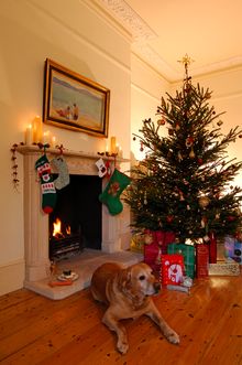 Luxurious Festive Getaways In Devon