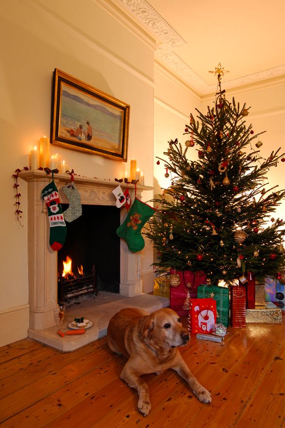 Luxurious Festive Getaways In Devon