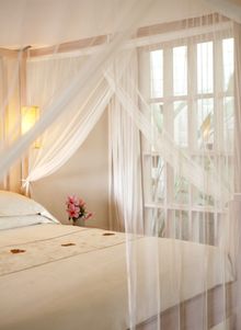 Uma Pool Suite Bed