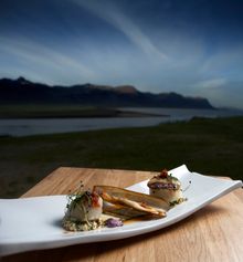 Munch Your Way Around Iceland With New Gastronomic Website