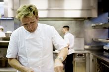 Seating up to 170 guests, Gordon Ramsay�s maze restaurant is modelled on its British namesake yet the tasting-sized dishes will 