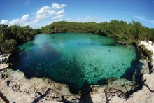 a cenote or sinkhole where you can swim, close to Azulik, by Nic Havers