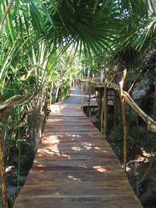 sandy lanes through the jungle to Azulik's cabanas