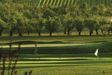 Golf_Vines