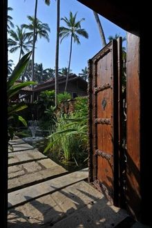 Reef, Sri Lanka (13)