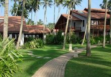 Reef, Sri Lanka (16)