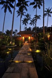 Reef, Sri Lanka (19)