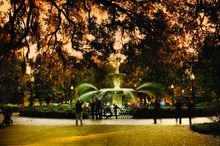 Savannah
