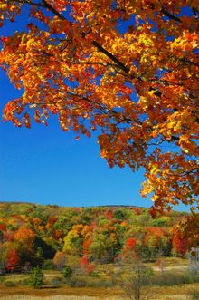 Canaan Valley Autumn
