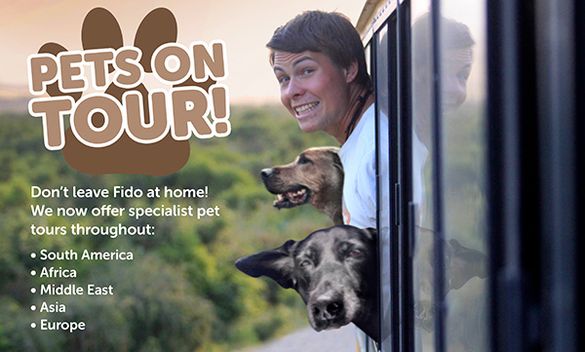 Pets on Tour