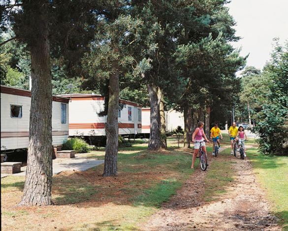 Bikes at Wild Duck