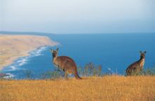 Kangaroo Island