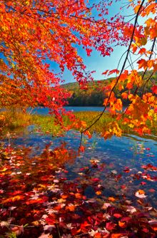 Summit Lake Greenbrier Co, WV