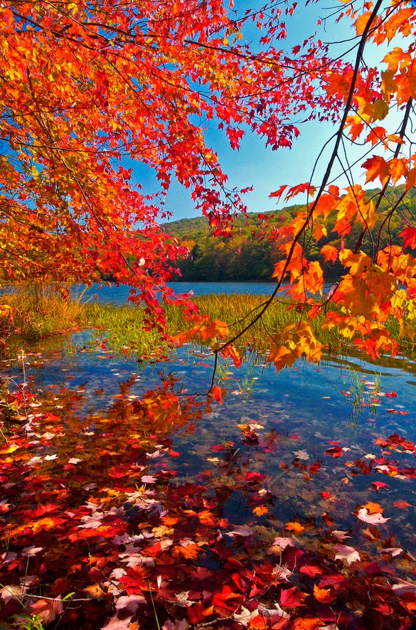 Summit Lake Greenbrier Co, WV