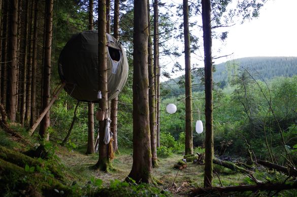 Red Kite Tree Tent
