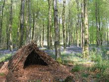 shelter