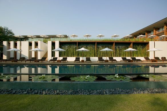 The Chedi Chiang Mai - Pool side
