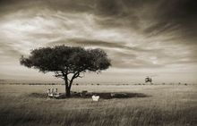A Unique Night Time Safari Experience Launches At Kenya�s Latest Luxury Safari Lodge