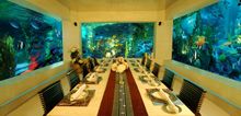 WORLDHOTELS� Hotel Sahara Star Mumbai features ten unique concept dining outlets include the famous Ocean Pan-Asian restaurant