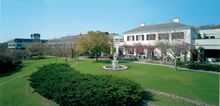 Vineyard Hotel & Spa To Celebrate Landmark Birthday By Planting 115 Trees With Trees4schools At Christel House