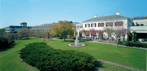 Vineyard Hotel & Spa To Celebrate Landmark Birthday By Planting 115 Trees With Trees4schools At Christel House