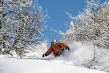 offpiste