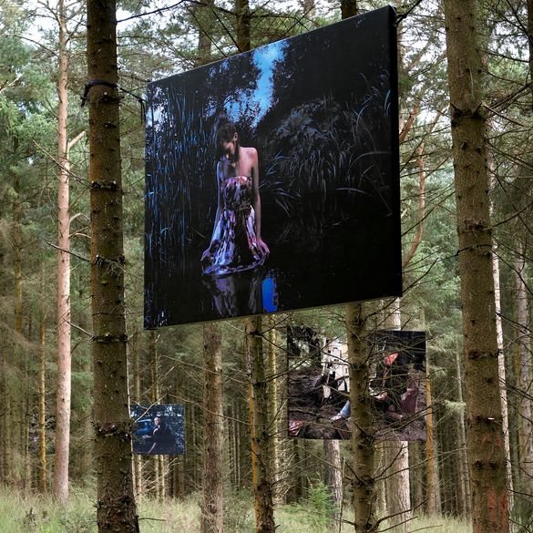 Ghosts in the Woods1