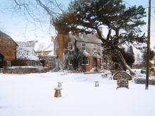 Snow Photos 001