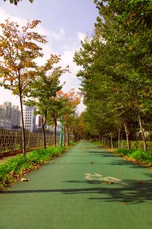 Extensive leisure facilities in Seoul Palace Hotel include a peaceful outdoor jogging track around the hotel