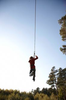 Go Ape Appoints Consense For Online Consultation Across The Globe