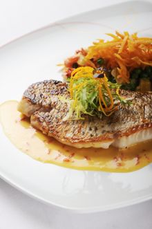 Sustainable fish - wild snapper