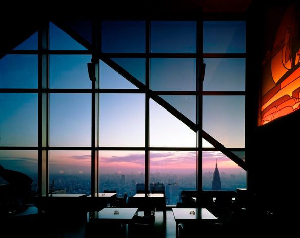 Park Hyatt Tokyo - New York Bar