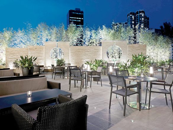 Evening at T Garden