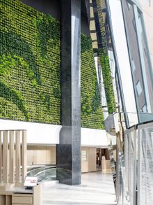 Green Wall at Lobby Level