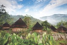 Unique Opportunity To attend the Mount Hagen tribal festival 