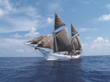 Sail the East Indies with Peregrine