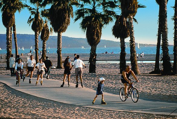 Venice Beach