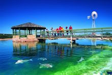 Aquarium at Ocean Park