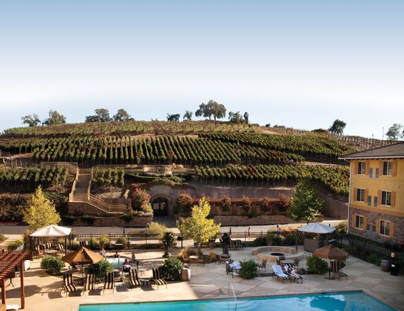 The Meritage Resort and Spa - Vineyard Hillside