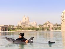 Capture treasured memories at Dolphin Bay when you experience Dolphin Photo Fun