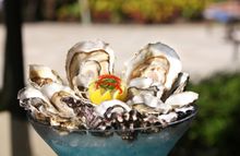 Fresh Oyster_1