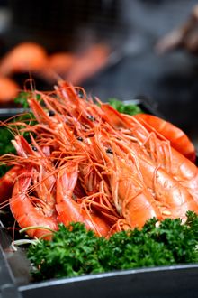 Teppanyaki Live Tiger Prawns, Carousel, Royal Plaza on Scotts