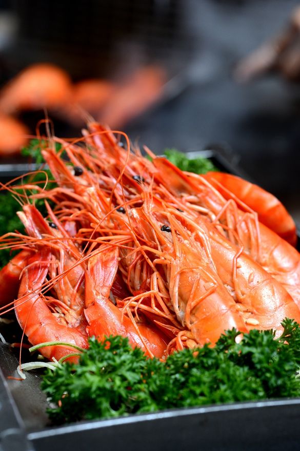 Teppanyaki Live Tiger Prawns, Carousel, Royal Plaza on Scotts