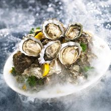 Oyster
