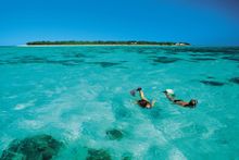Heron Island feiert erstmals großes Tauchfestival