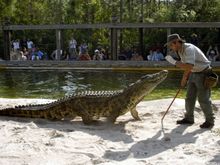 Gatorland