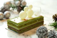 Green Forrest Christmas Log Cake at The Market