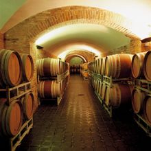 Gaja Winery