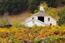 Harvest and holiday events are on the menu in Sonoma County.